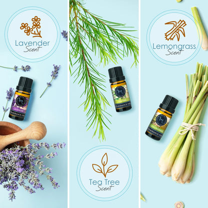 Set of 6 Premium Scented Fragrance Oil for Candle Making, Soap Making, Incense, Potpourri & Aroma Diffuser - Lemongrass, Peppermint, Orange, Lavender, Eucalyptus, Tea Tree Scents, 10Ml Bottles